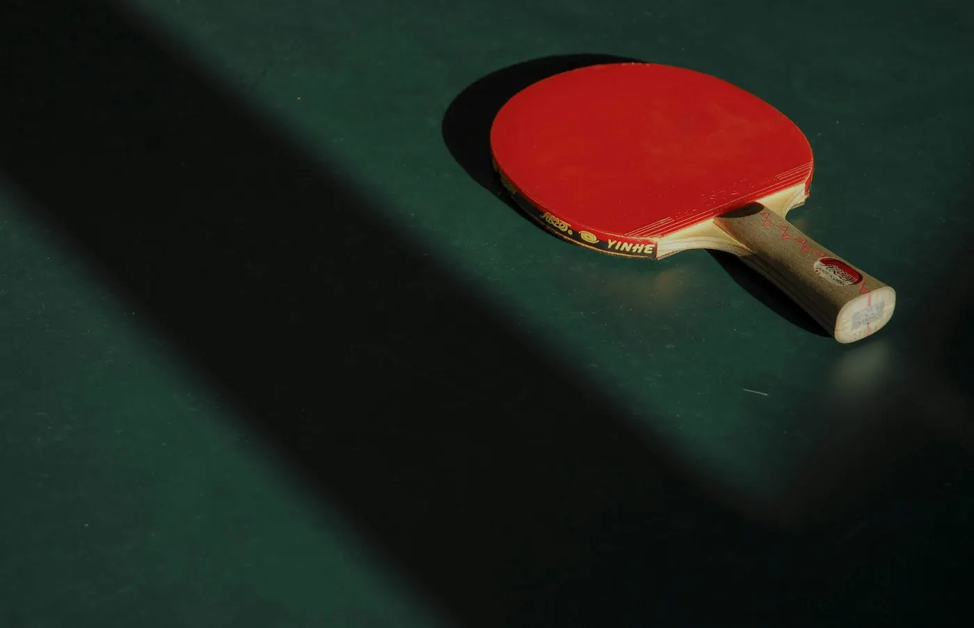 Table tennis at Omkar Jungle Resort